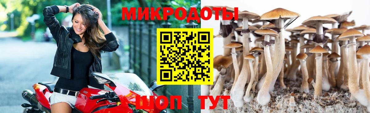 Псилоцибиновые грибы MAGIC MUSHROOMS  Псилоцибиновые грибы Cubensis  Видное  Вход с VPN 